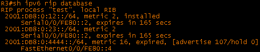 7-r3-ripng-database1